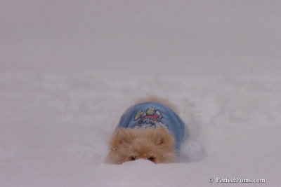 Dec16_07_284.jpg