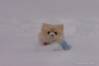 Dec16_07_285.jpg