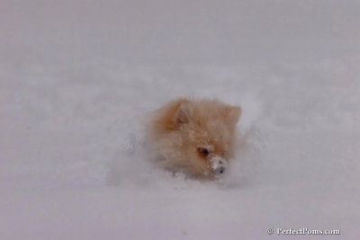 Dec16_07_286.jpg