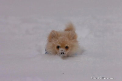 Dec16_07_287.jpg