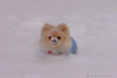 Dec16_07_288.jpg