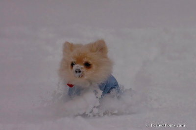 Dec16_07_290.jpg