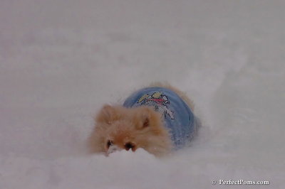 Dec16_07_291.jpg