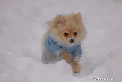 Dec16_07_295.jpg