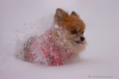 Dec16_07_298.JPG