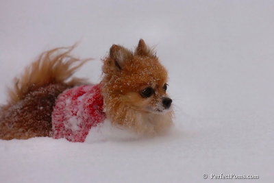 Dec16_07_299.jpg