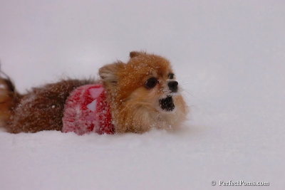 Dec16_07_300.jpg