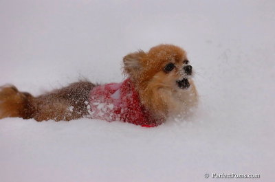 Dec16_07_302.JPG