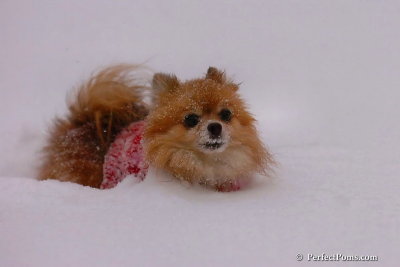Dec16_07_304.jpg