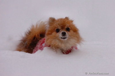 Dec16_07_305.jpg