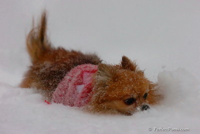 Dec16_07_309.jpg