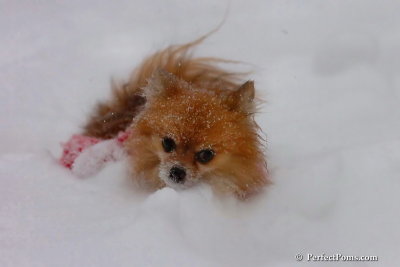 Dec16_07_314.jpg