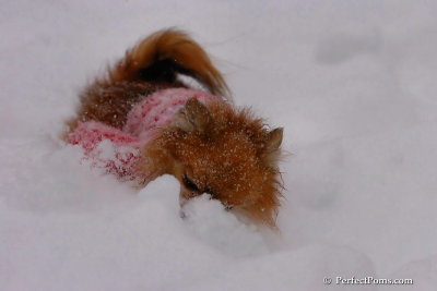 Dec16_07_315.jpg