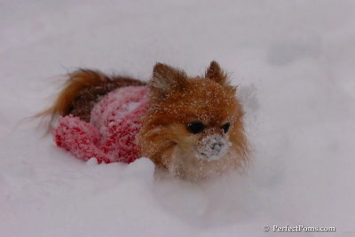 Dec16_07_316.jpg