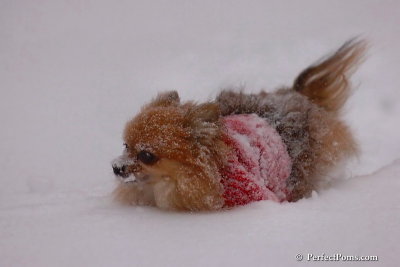 Dec16_07_317.jpg