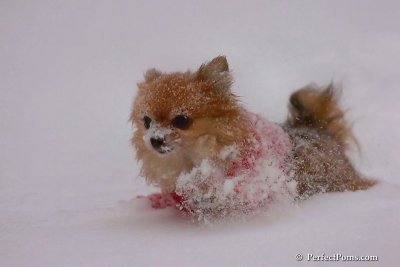 Dec16_07_319.jpg