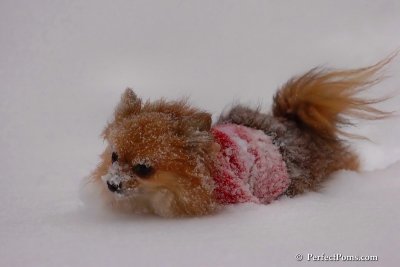 Dec16_07_320.jpg