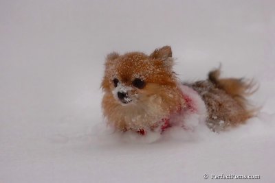 Dec16_07_321.jpg