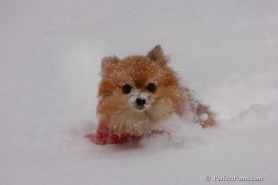 Dec16_07_323.jpg