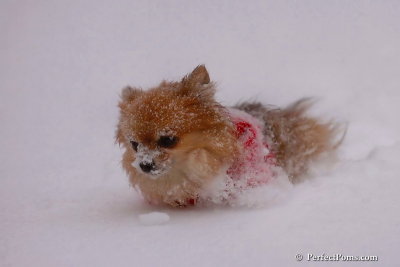 Dec16_07_325.jpg