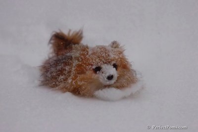 Dec16_07_335.jpg