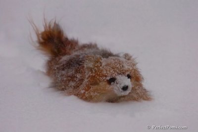 Dec16_07_336.jpg