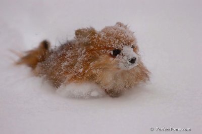 Dec16_07_338.jpg