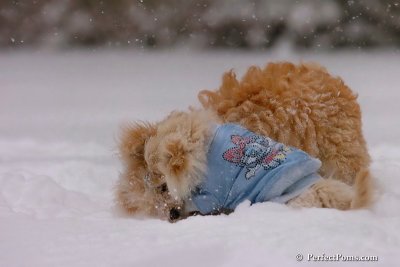 Dec16_07_154.jpg