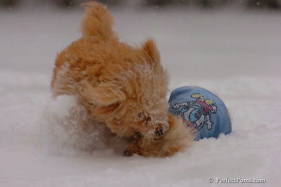 Dec16_07_157.jpg