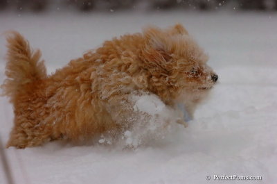 Dec16_07_158.JPG
