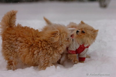 Dec16_07_159.JPG