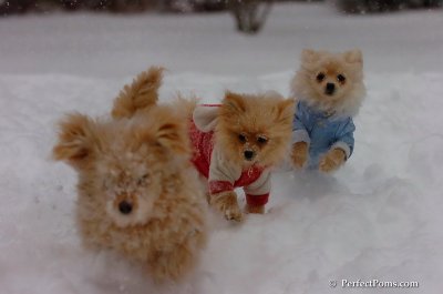 Dec16_07_160.JPG