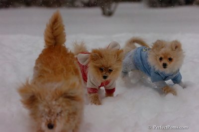 Dec16_07_161.JPG