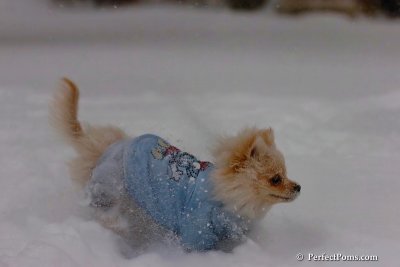 Dec16_07_165.jpg