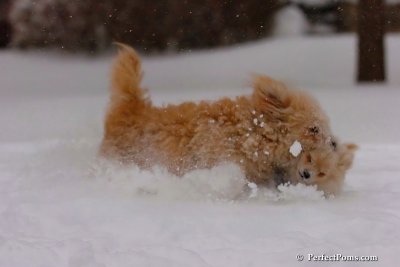 Dec16_07_175.jpg