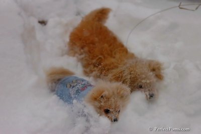 Dec16_07_179.jpg