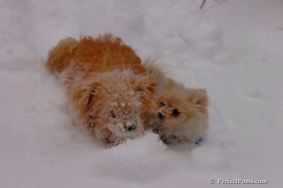 Dec16_07_182.jpg