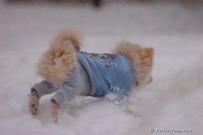 Dec16_07_200.jpg