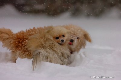 Dec16_07_203.JPG