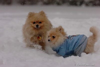 Dec16_07_206.jpg