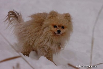 Dec16_07_208.jpg