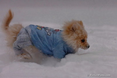 Dec16_07_214.jpg