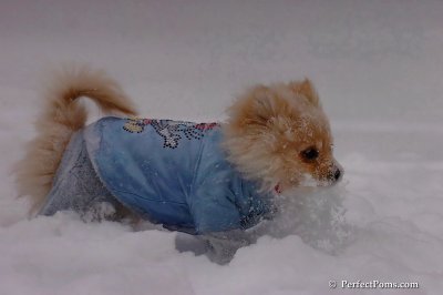 Dec16_07_218.jpg