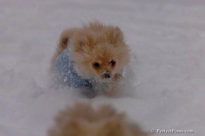 Dec16_07_222.jpg