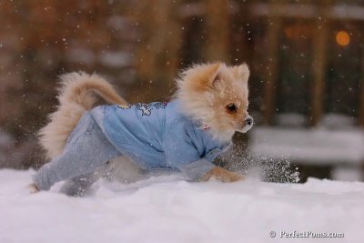 Dec16_07_225.jpg