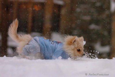 Dec16_07_227.jpg