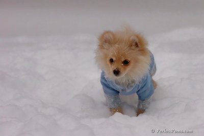 Dec16_07_229.jpg