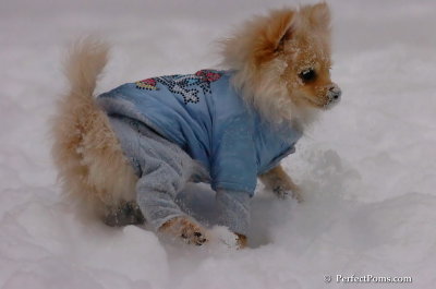 Dec16_07_230.JPG