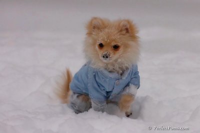 Dec16_07_234.jpg