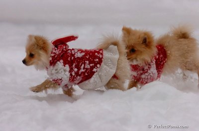 Dec18_07_616.JPG